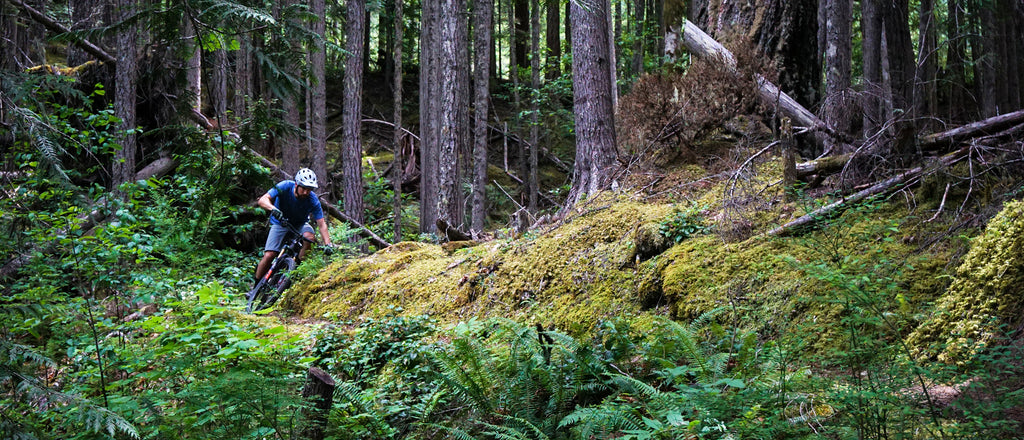 Searching For Singletrack